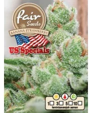 Banana Strawberry - Fair Seeds - feminizovaná semena