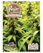 Indoor mix - Fair Seeds - feminizovaná semena