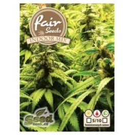Indoor mix - Fair Seeds - feminizovaná semena
