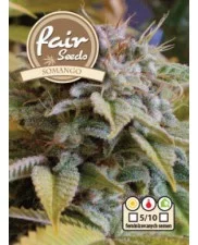 Somango - Fair Seeds - feminizovaná semena