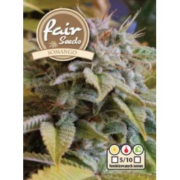 Somango - Fair Seeds - feminizovaná semena