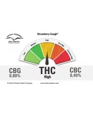 Strawberry Cough ® - Dutch Passion -  feminizovaná semena