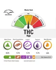 Master Kush ®  - Dutch Passion -  feminizovaná semena