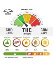 CBD Skunk Haze ®  - Dutch Passion -  feminizovaná semena 