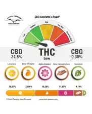 CBD Charlotte’s Angel ® - Dutch Passion - léčebná feminizovaná semena 