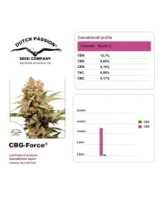 CBG-Force® - Dutch Passion - feminizovaná semena