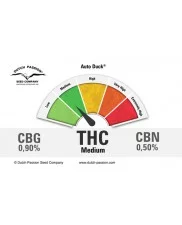 Auto Duck® - Dutch Passion - autoflowering