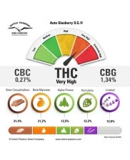 Auto Glueberry O.G.® - Dutch Passion - autoflowering