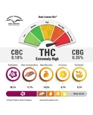 Auto Lemon Kix ®(Lemon Zkittle) - Dutch Passion - autoflowering