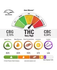 Auto Ultimate - Dutch Passion - autoflowering