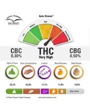 Auto Xtreme® - Dutch Passion - autoflowering