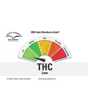 CBD Auto Blackberry Kush® - Dutch Passion - autoflowering