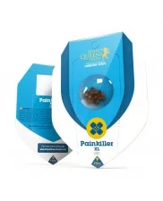 Painkiller XL- Royal Qween Seeds - Medical Feminizovaná semena