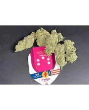 Cookies Gelato - Royal Queen Seeds - feminizovaná semena