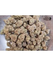 El Patron - Royal Queen Seeds - feminizovaná semena