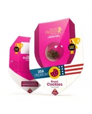 Royal Cookies - Royal Queen Seeds - feminizovaná semena