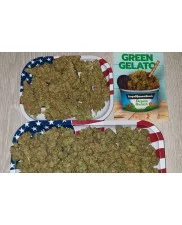 Green Gelato - Royal Queen Seeds - feminizovaná semena