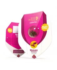 Honey Cream (Fast Flowering) -  Royal Queen Seeds - feminizovaná semena