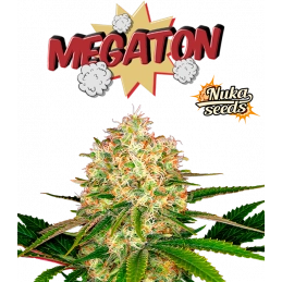 Megaton  - Nuka Seeds  -...