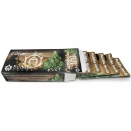 Calamity Jane - Buddha Seeds Bank - autoflowering