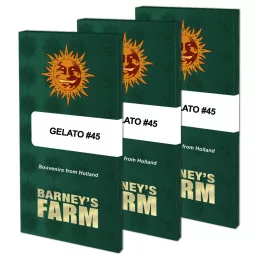 Gelato 45™ Barney´s Farm SEEDS-BANK.CZ