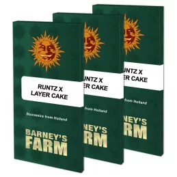 Runtz X Layer Cake™ Barney´s Farm SEEDS-BANK.CZ