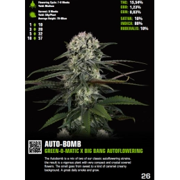 Auto-Bomb - Green House Seeds