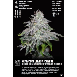Franco's Lemon Cheese - Green House Seeds