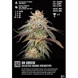 GH Cheese - Green House Seeds