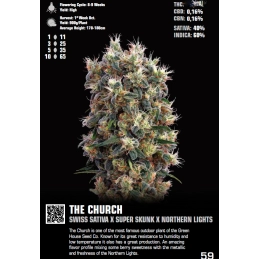 The Church - Green House - www.Seeds-bank.cz Jihlava