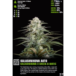 Kalashnikova Auto - Green House Seeds