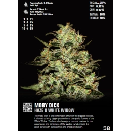 Moby Dick - Green House Seeds