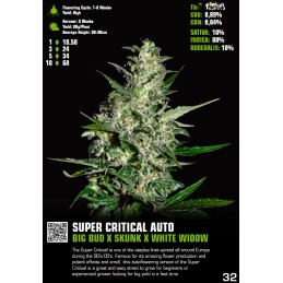 Super Critical Auto - Green House Seeds