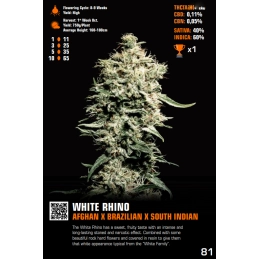 White Rhino - Green House Seeds