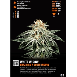 White Widow - Green House Seeds
