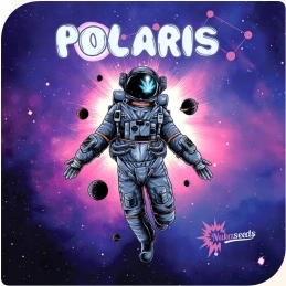 Polaris - Nuka Seeds