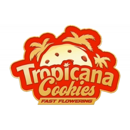 Tropicana Cookies FF Fast Buds – logo odrůdy