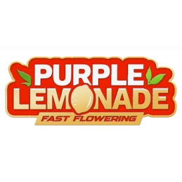 Purple Lemonade FF Fast Buds – logo odrůdy