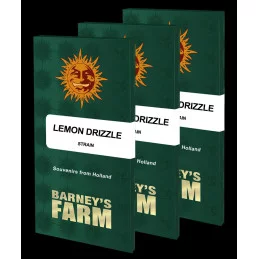 LEMON DRIZZLE - Barney´s Farm | SEEDS-BANK.CZ JIHLAVA