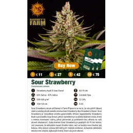 SOUR STRAWBERRY - Barney´s Farm SEEDS-BANK.CZ JIHLAVA