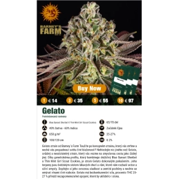 GELATO - Barney´s Farm SEEDS-BANK.CZ JIHLAVA