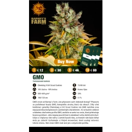 GMO - Barney´s Farm | SEEDS-BANK.CZ JIHLAVA