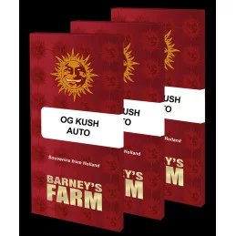 OG KUSH AUTO - Barney´s Farm - SEEDS-BANK.CZ JIHLAVA