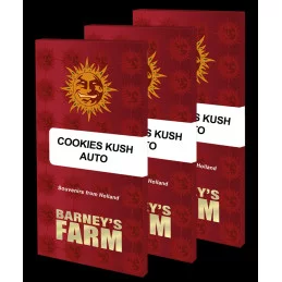 COOKIES KUSH AUTO - Barney´s Farm - SEEDS-BANK.CZ JIHLAVA