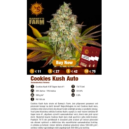 COOKIES KUSH AUTO - Barney´s Farm - SEEDS-BANK.CZ JIHLAVA
