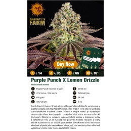 PURPLE PUNCH x LEMON DRIZZLE - Barney´s Farm - SEEDS-BANK.CZ JIHLAVA