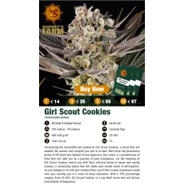 GIRL SCOUT COOKIES - Barney´s Farm - SEEDS-BANK.CZ JIHLAVA