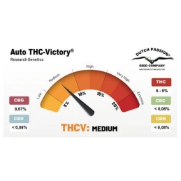 AUTO THC-VICTORY - Dutch Passion SEEDS-BANK.CZ JIHLAVA