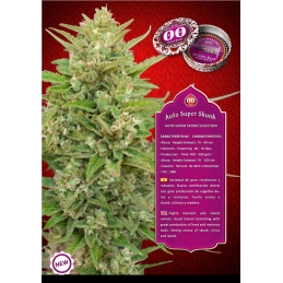 Auto Super Skunk – 00 Seeds – balení feminizovaných autoflowering semen