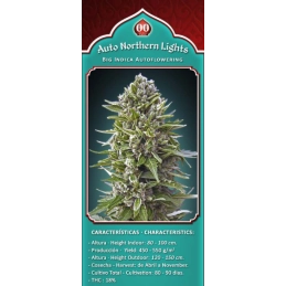 AUTO NORTHERN LIGHTS - OO Seeds SEEDS-BANK.CZ JIHLAVA